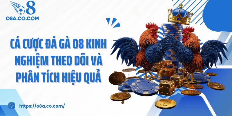 Cá Cược Đá Gà O8 Kinh Nghiệm Theo Dõi Và Phân Tích Hiệu Quả
