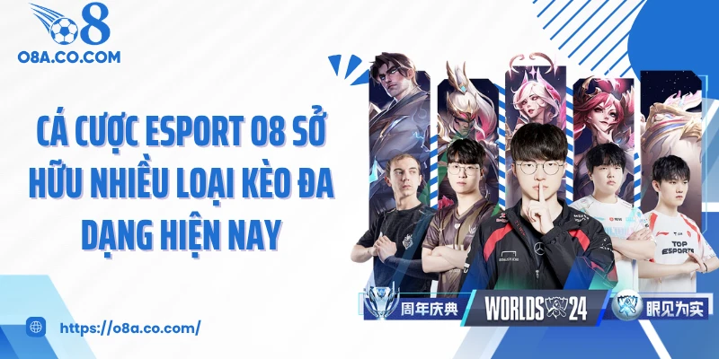 Cá cược esport O8 sở hữu nhiều loại kèo đa dạng hiện nay