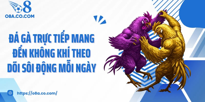 Đá gà trực tiếp mang đến không khí theo dõi sôi động mỗi ngày