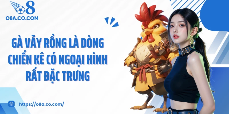 Gà vảy rồng là dòng chiến kê có ngoại hình rất đặc trưng
