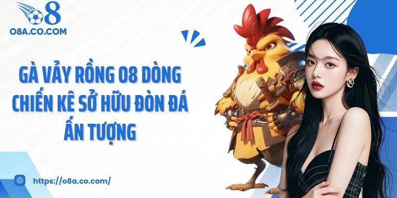 Gà Vảy Rồng O8 Dòng Chiến Kê Sở Hữu Đòn Đá Ấn Tượng