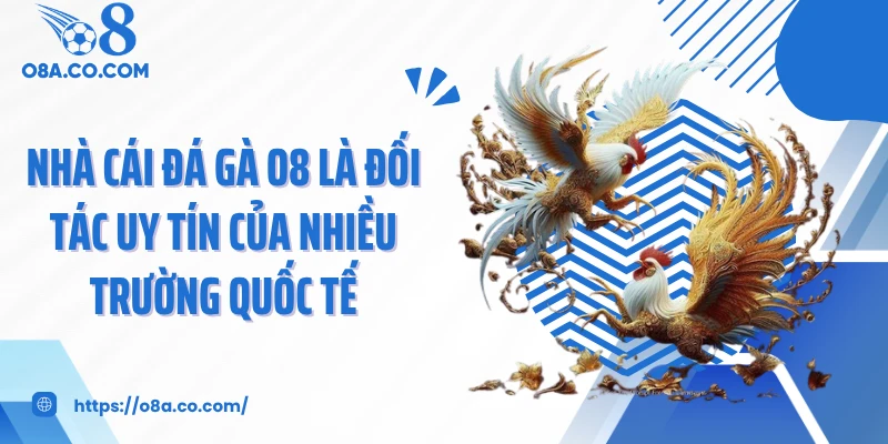 Nhà cái đá gà O8 là đối tác uy tín của nhiều trường quốc tế