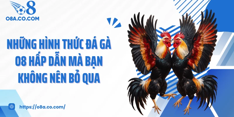 Những hình thức đá gà O8 hấp dẫn mà bạn không nên bỏ qua