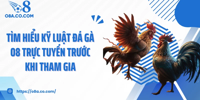 Tìm hiểu kỹ luật đá gà O8 trực tuyến trước khi tham gia