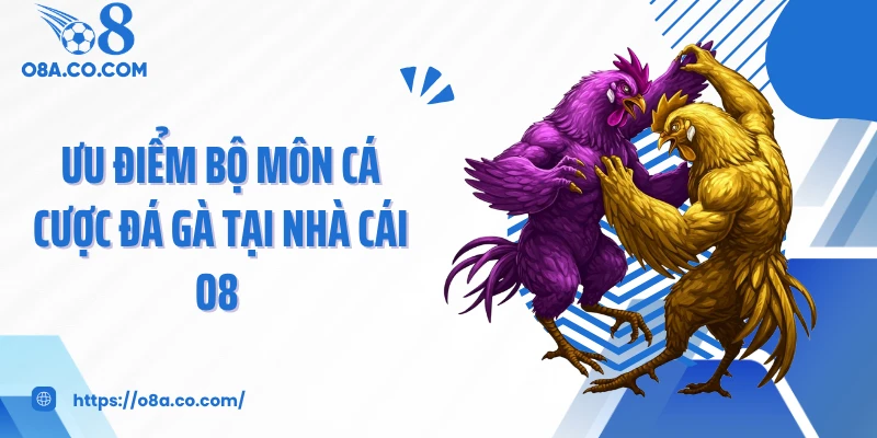 Ưu điểm bộ môn cá cược đá gà tại nhà cái O8